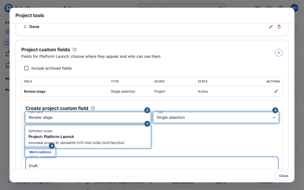 The project field editor identifies the fixed project scope, field name, and selected type.